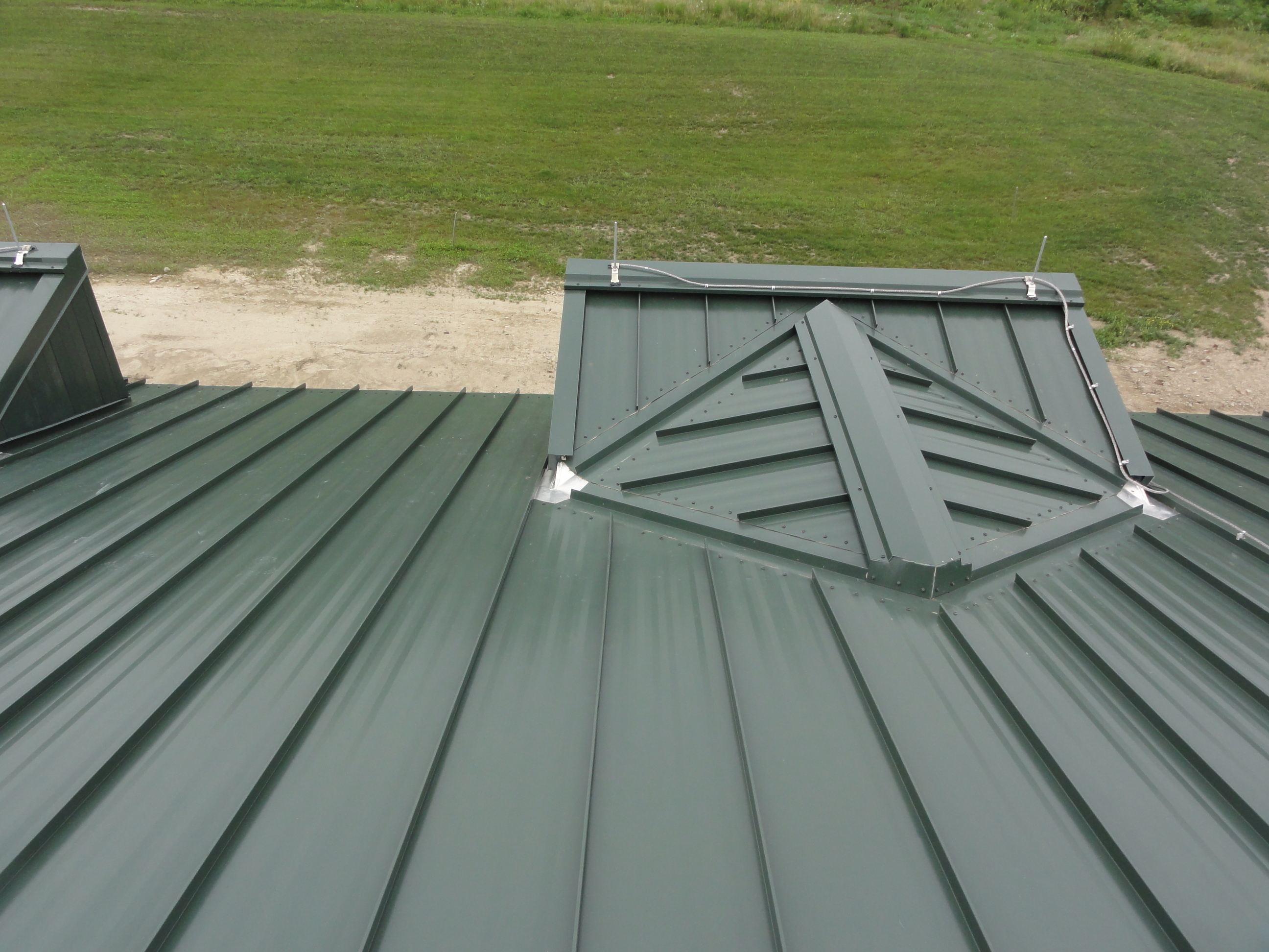 Hidden Leaks Cricket