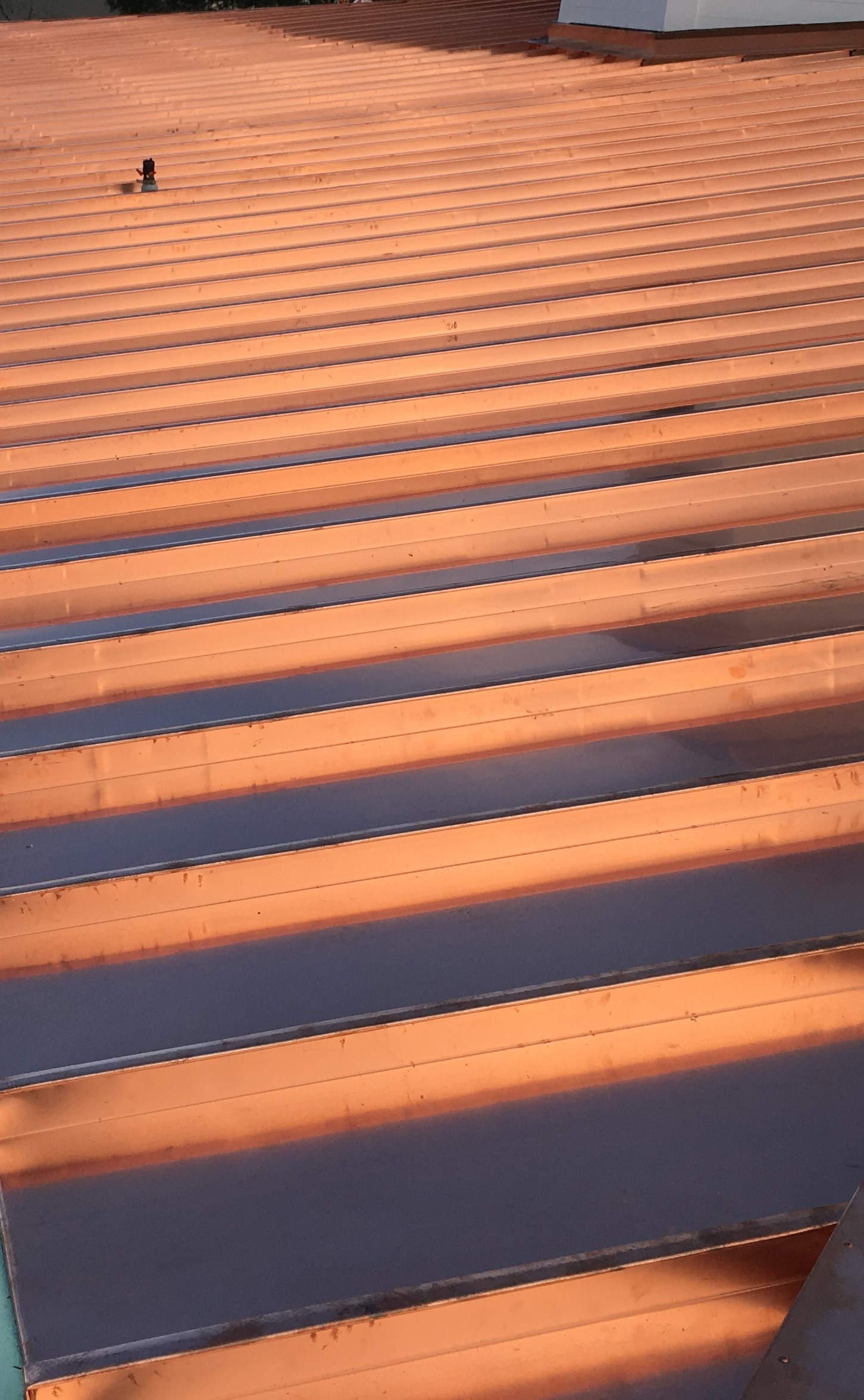 Mc Elroy Metal Jan20 1