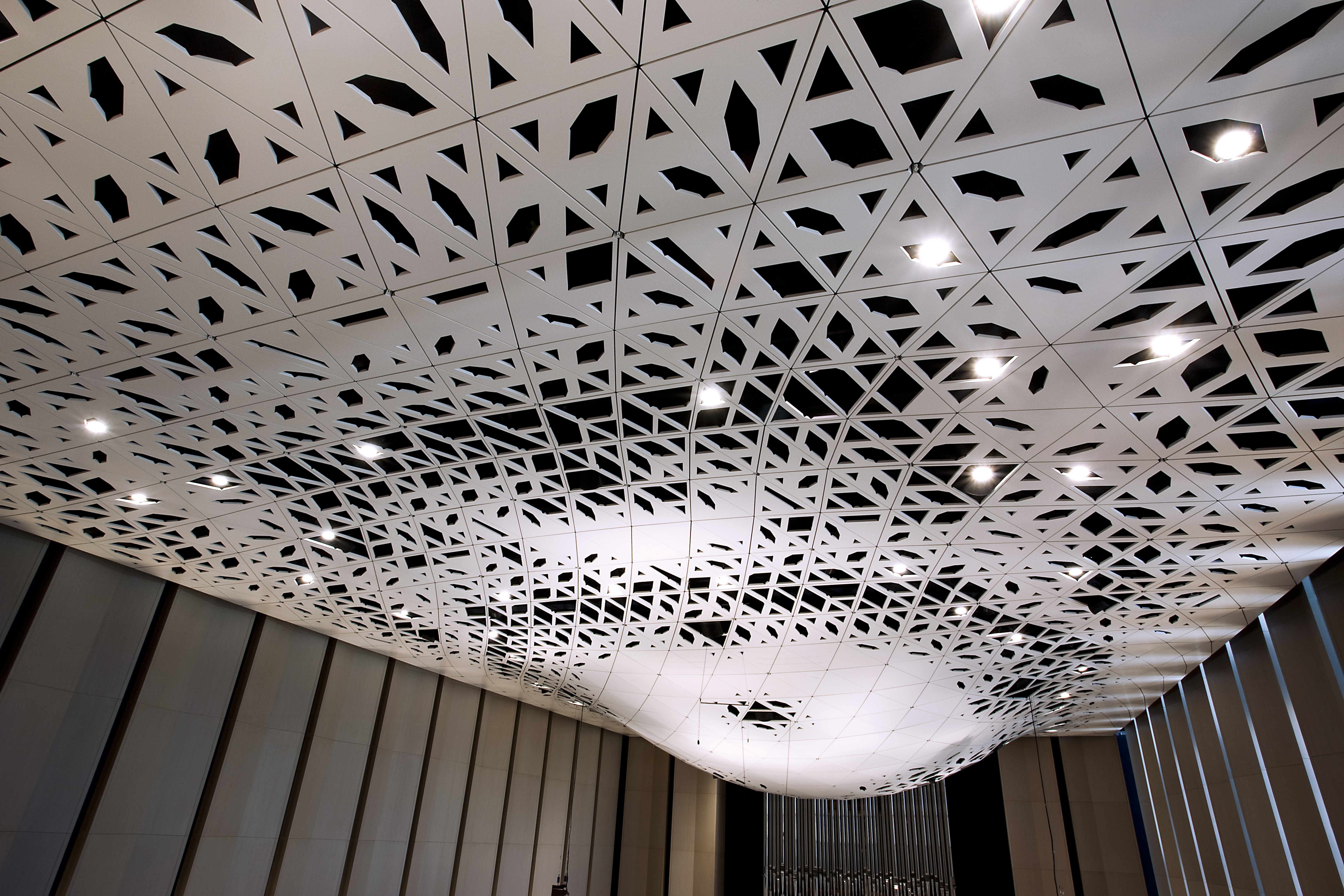 Shaffner Heaney Feb20 4