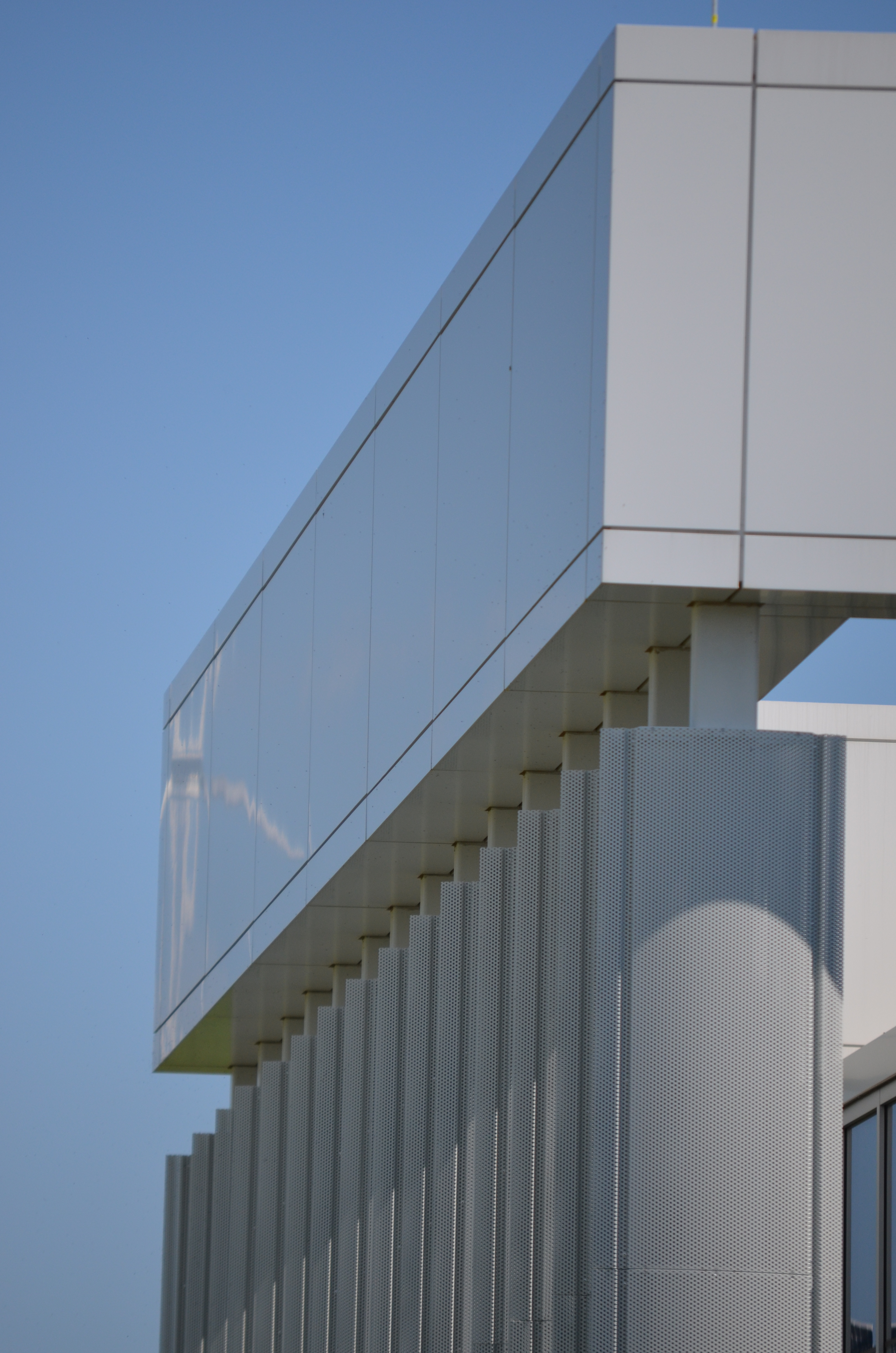 Shaffner Heaney Feb20 6