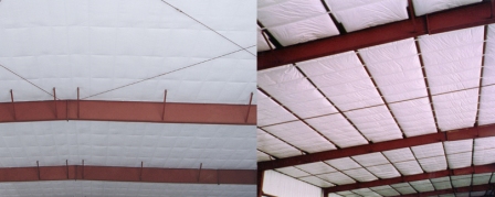 Ls And  Ltb Side Byside  Low  Rez