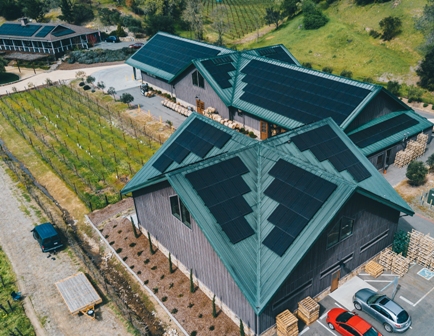 Mcn  Kyp  Awp  June17 1  Low Rez