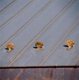 Berger Building Products