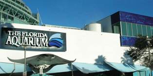 Architecture firm Gould Evans Associates specified a colorized stainless steel cladding from McNICHOLS Co.'s Designer Textured Metals comprised of hundreds of metal tiles that resembles fish scales for The Florida Aquarium, Tampa, Fla.