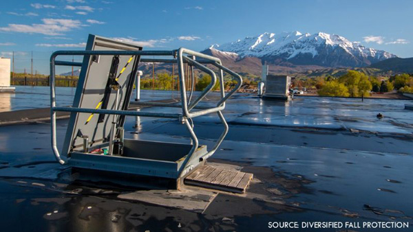 Hatching a plan to protect rooftop workers