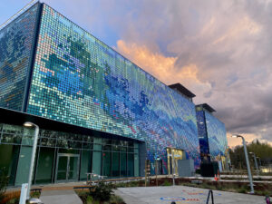 multi-colored murals