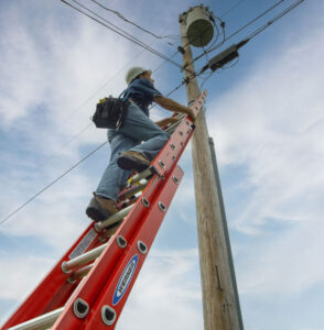 A worker climbs a ladder leaning against a telephone pole. 